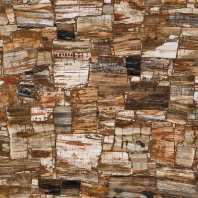 Petrified Wood  RETRO